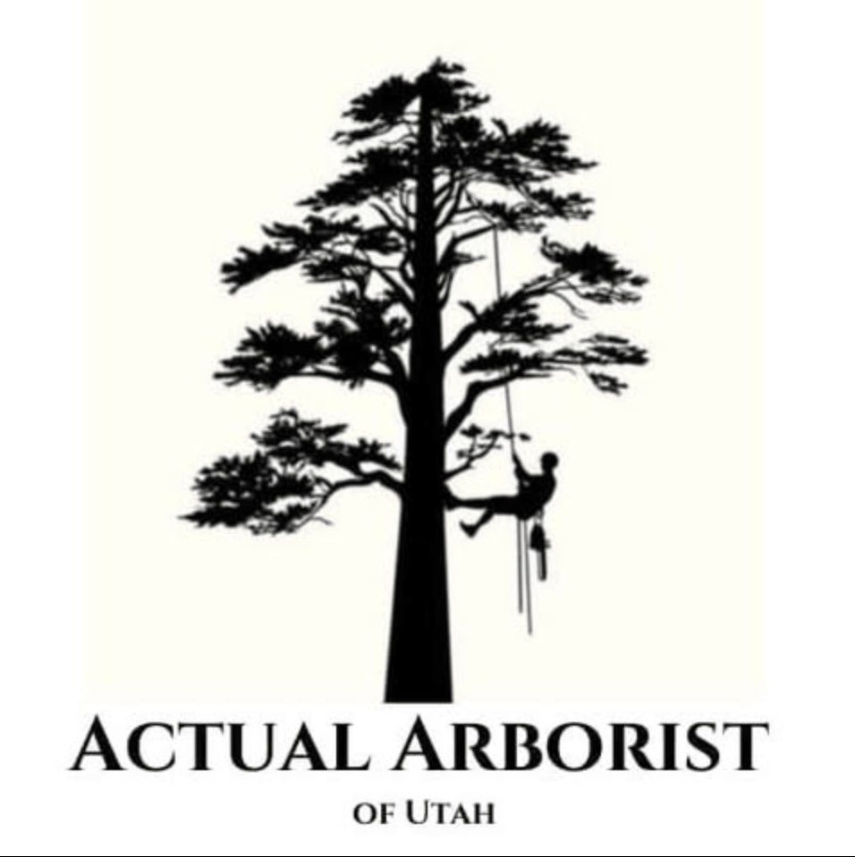 ISA Certified Arborist credential held by the owner of Actual Arborists of Utah