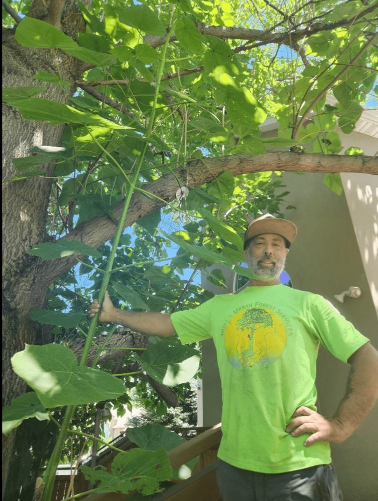 Mike, ISA Certified Arborist and owner of Actual Arborists of Utah